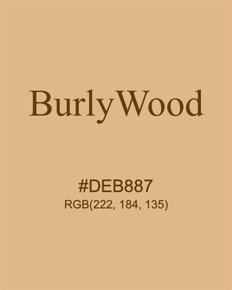 木颜色|RGB Burly Wood